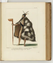 Illustratie uit Een reisverslag naar de Zuidzeeën: in Zijne Majesteits schip, de Endeavour, 1794